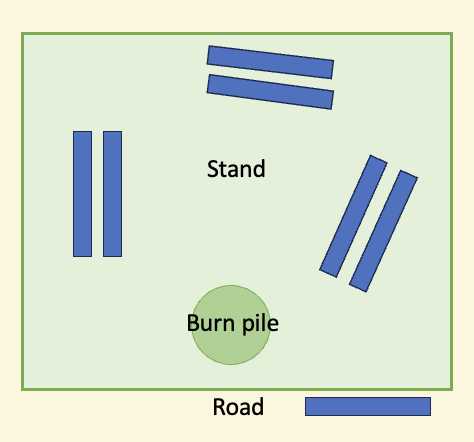 Figure 6: Stand level Survey Site Set Ups, each blue rectangle is an individual 32 m transect Figure 6: Stand level Survey Site Set Ups, each blue rectangle is an individual 32 m transect
