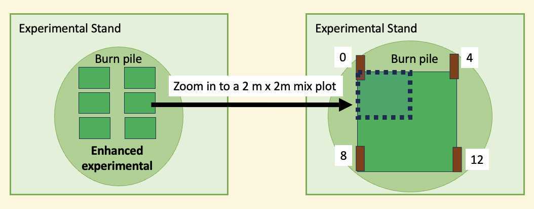 Figure 8: Vegetation survey of mix plots. The 2m x 2m plot is broken into four 1m x 1m subplots where all the blooming Vegetation is surveyed Figure 8: Vegetation survey of mix plots. The 2m x 2m plot is broken into four 1m x 1m subplots where all the blooming Vegetation is surveyed