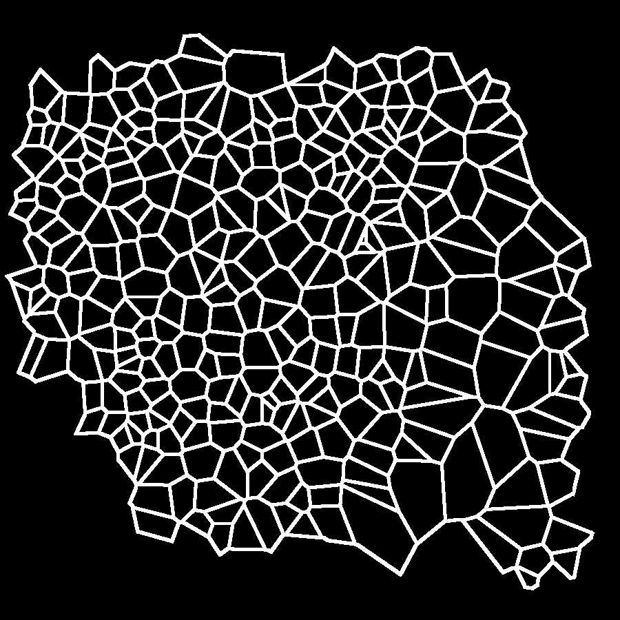Image of Voronoi polygons after application of the Find Edges command and optimization of contrast (Elaboration 6) Image of Voronoi polygons after application of the Find Edges command and optimization of contrast (Elaboration 6)