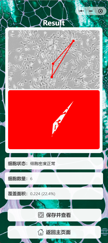 640 (6).png
