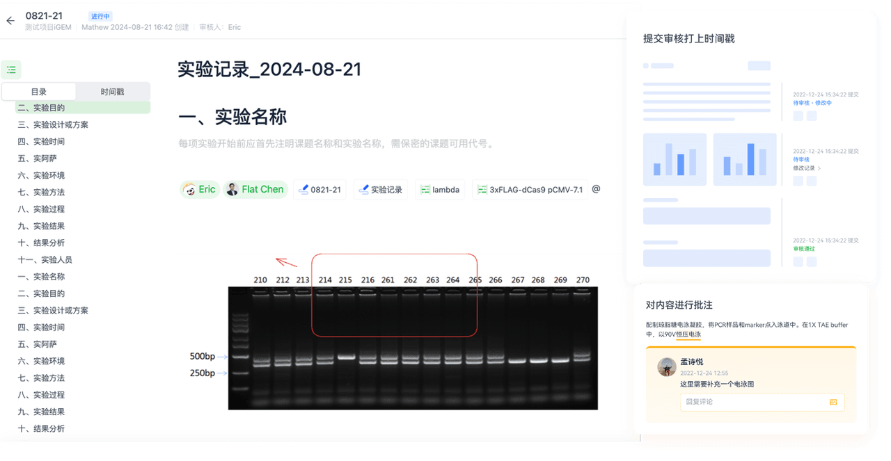 团队协作-1