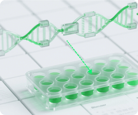 合成生物学